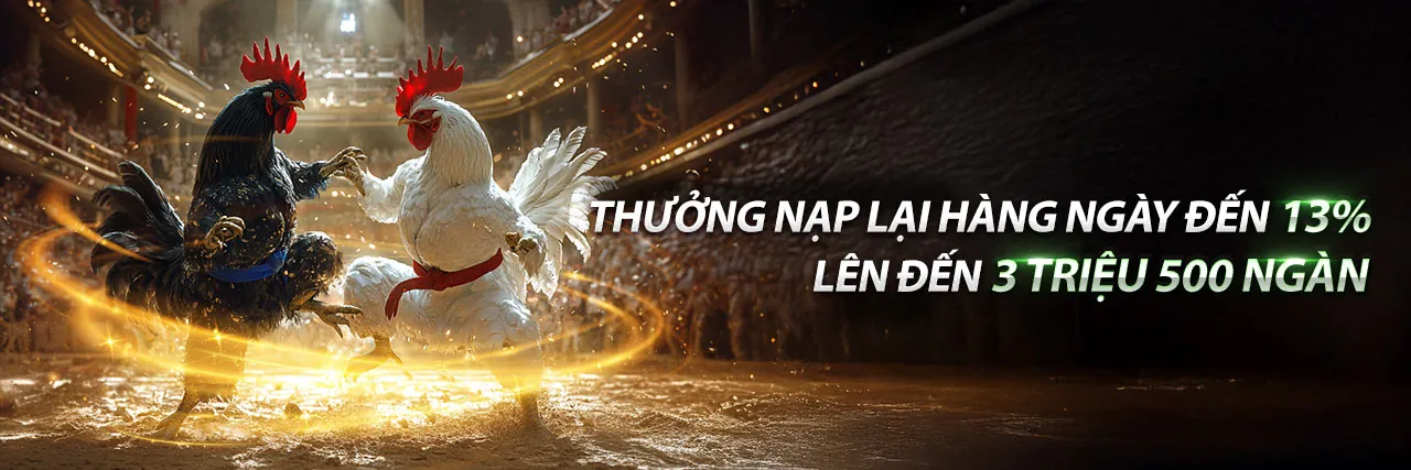 Hình ảnh giới thiệu về VF55 Khuyến Mãi